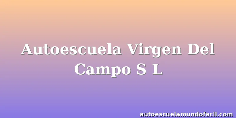 Autoescuela Virgen Del Campo S L