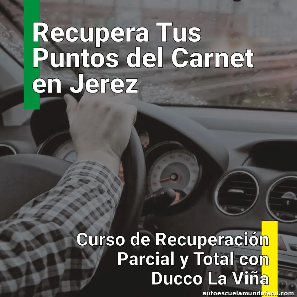 Recuperación de Puntos del Carnet - Ducco Formación