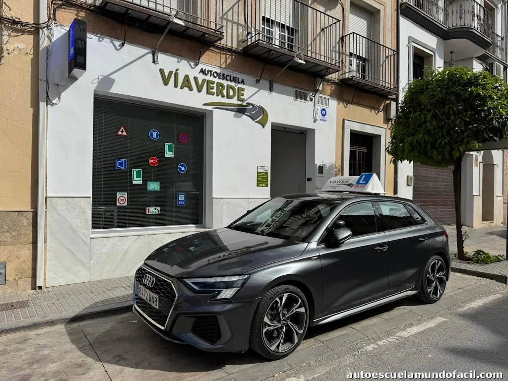 Autoescuela VÍA VERDE