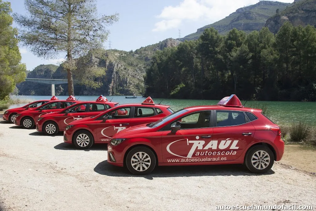 Autoescuela Raúl