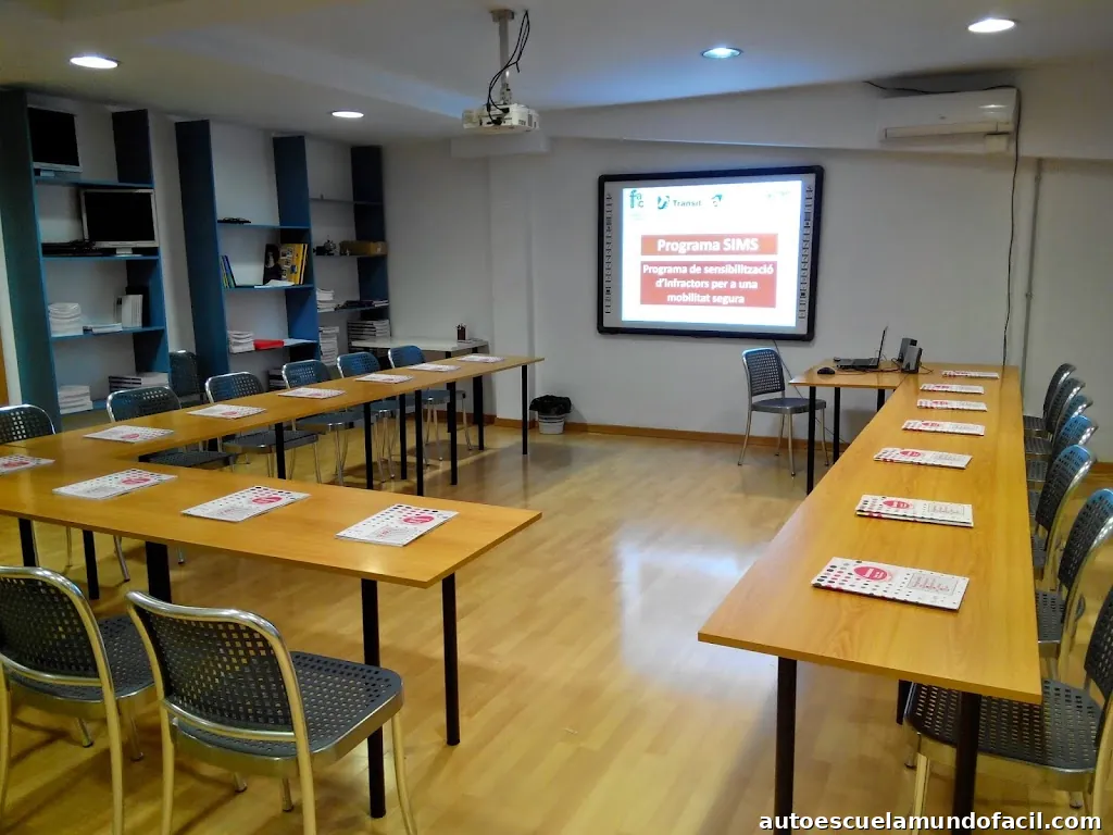 CENTRO RECUPERACIÓN PUNTOS AUTOESCUELA RUNNER