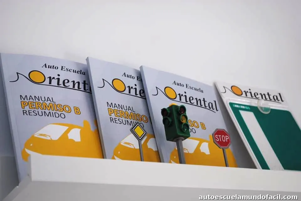 AUTO ESCUELA ORIENTAL