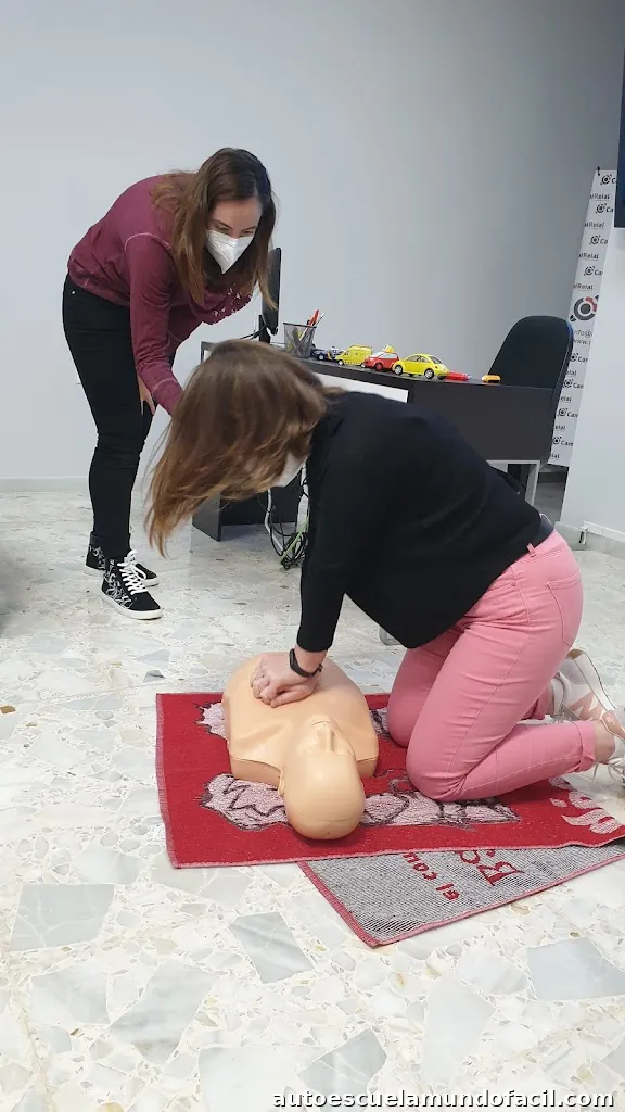 Autoescuela Camí Reial