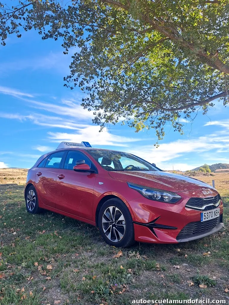 Autoescuela Pirineos