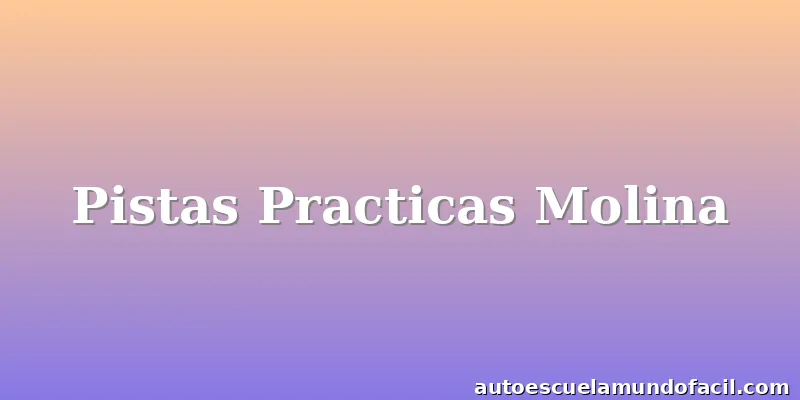 Pistas Practicas Molina