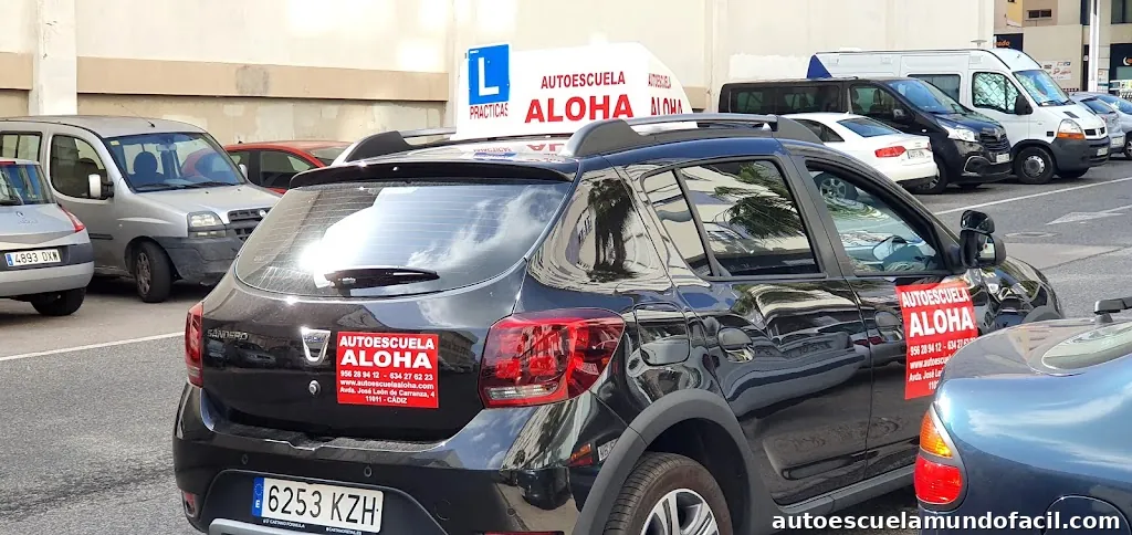 A/E ALOHA. RECUPERACION DE PUNTOS Y PERMISO DE CONDUCIR