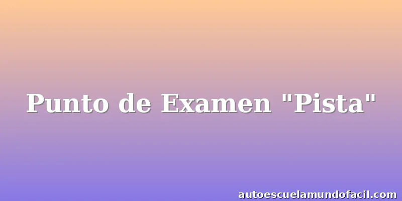 Punto de Examen "Pista"