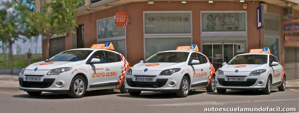 Autoescuela Anaya La Seu