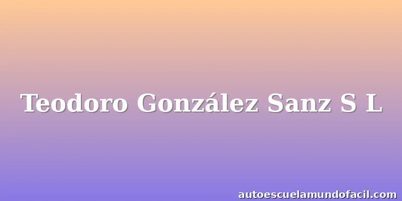 Teodoro González Sanz S L
